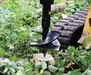 Erskine Attachments – Stump Planer